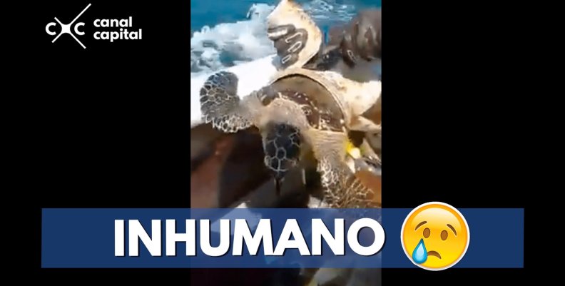 _inhumano-min _inhumano-min