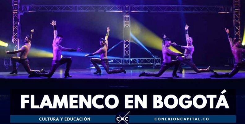 flamenco flamenco