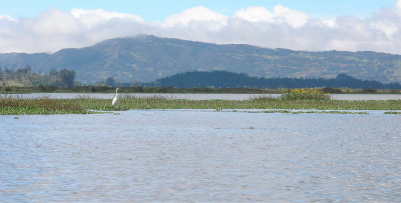 Laguna Fúneque. Laguna Fúneque.