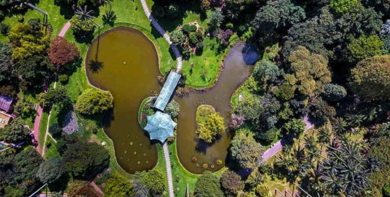 Logotipo del comercio Jardín Botánico de Bogotá