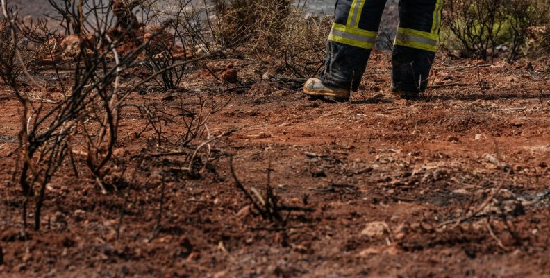 incendios forestales en Bogotá 
