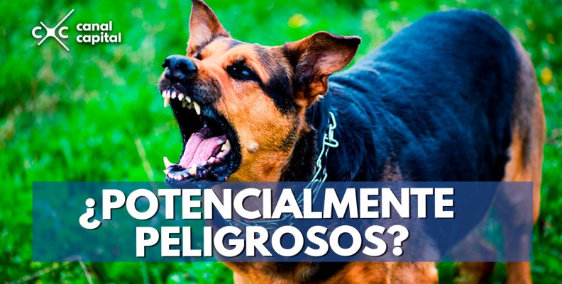 ¿Potencialmente-peligrosos-