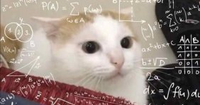 ¿Memes en clases de matemáticas? Así como lo lees