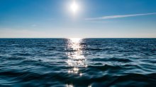 Día Mundial de los Océanos - Aquae