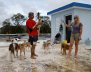 Harasimowicz talks to her husband while he carries one of their dogs on the roof of a neighbor's house after the area was hit by Hurricane Maria in Yauco