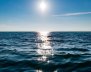 Día Mundial de los Océanos - Aquae