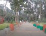 Bosque San Carlos