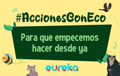 Cuidar el planeta