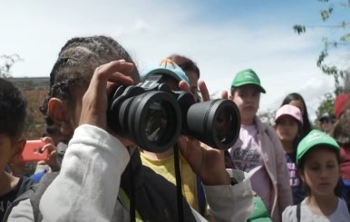 Día de la Tierra