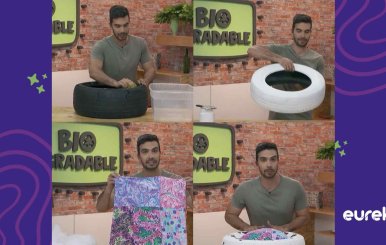 Cama para tu mascota