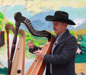 Hombre tocando el arpa llanera 