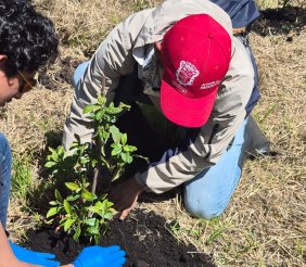 Red de Voluntariado Ambiental de la CAR