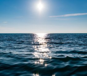 Día Mundial de los Océanos - Aquae
